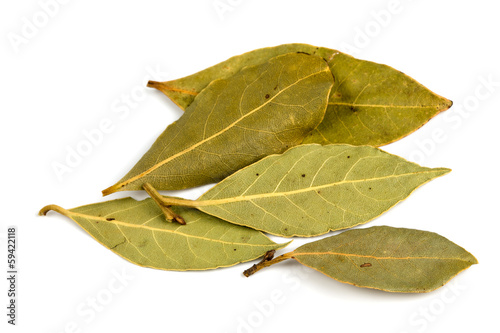 bay leafs isolated on white