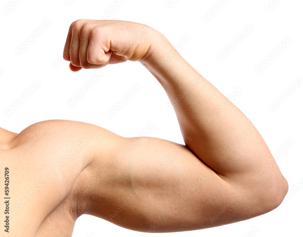 Young muscular man hand with biceps, isolated on white Young muscular man hand with biceps, isolated on white