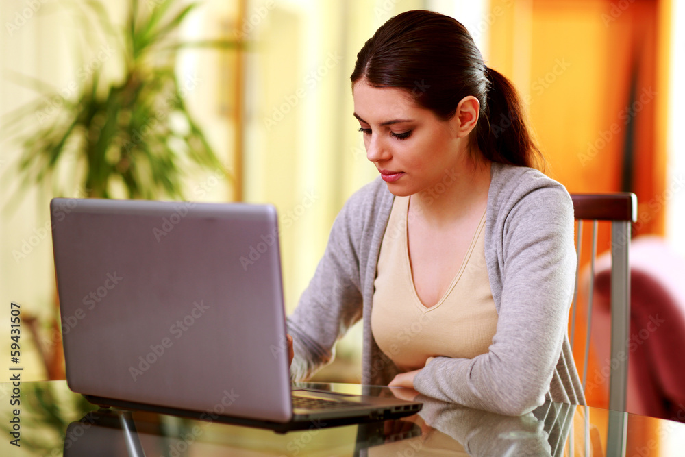 Young cheerful woman working on the laptop at home Young cheerful woman working on the laptop at home