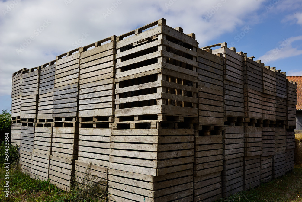 Wooden pallets for cargo and logistic Wooden pallets for cargo and logistic