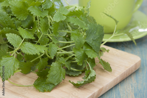 Herb lemon balm for tea and a cup on the table.