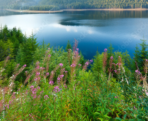 Alpine Lake Vidra summer  view © wildman