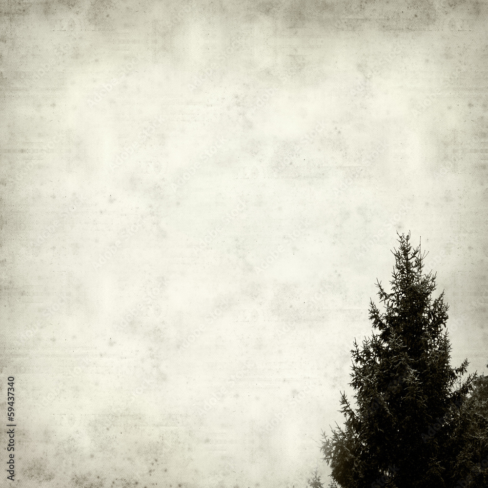 Fototapeta premium textured old paper background