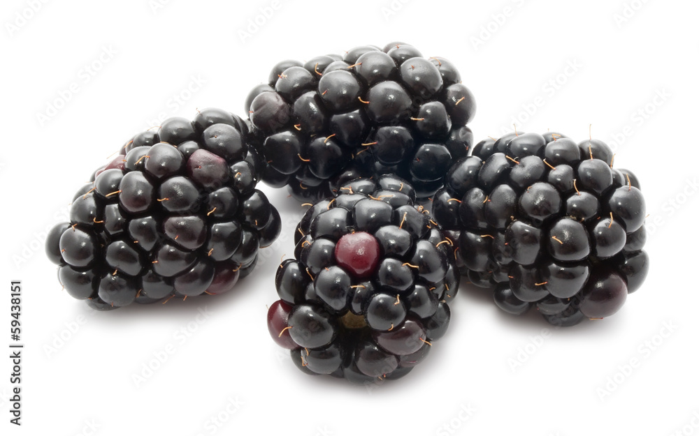 Blackberry Blackberry