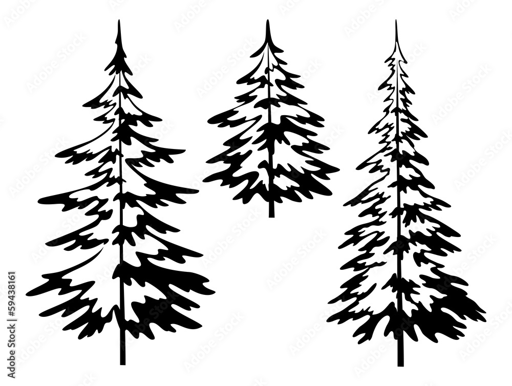 Christmas fir tree, contours - obrazy, fototapety, plakaty 