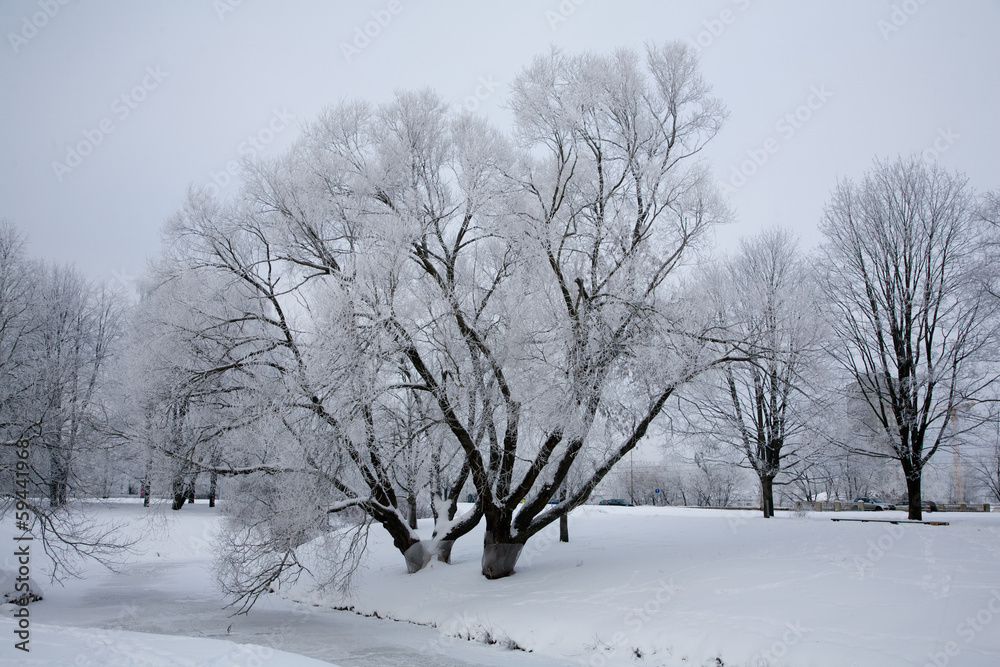 Obraz premium winter landscape