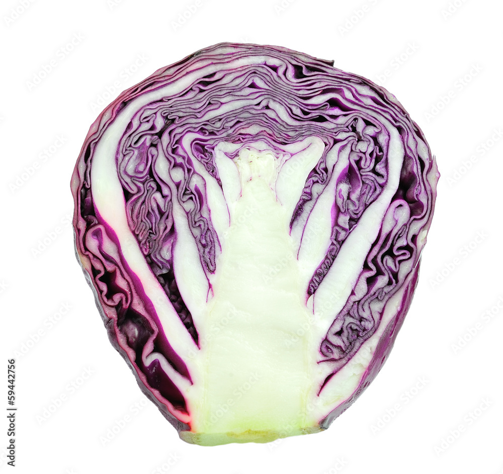 Fototapeta premium red cabbage isolated on white background