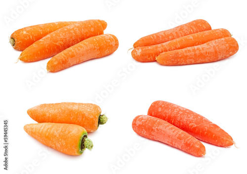 Carrot