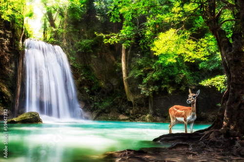 Level five of Erawan Waterfall photo