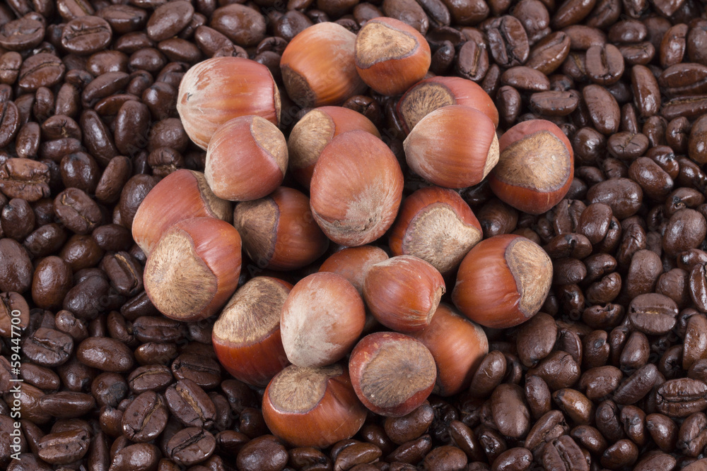 coffee on the white background coffee on the white background