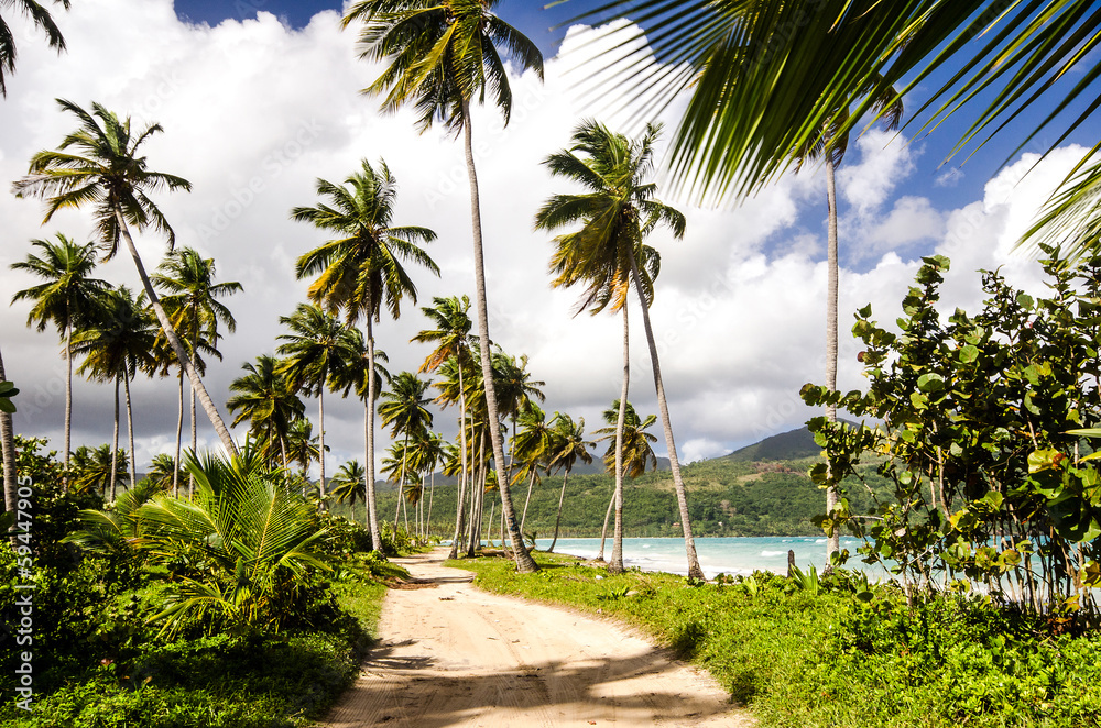 Weg an Karibischem Traumstrand (Samara / Playa Rincon)