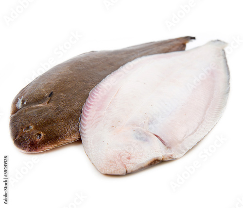 Whole couple fresh sole fish on white background photo