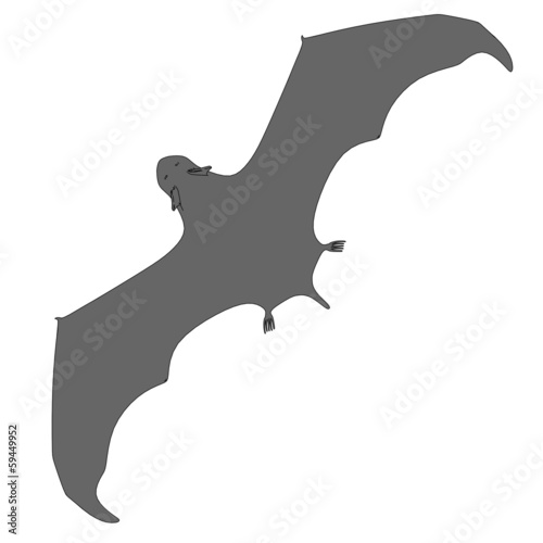 cartoon image of bat animal