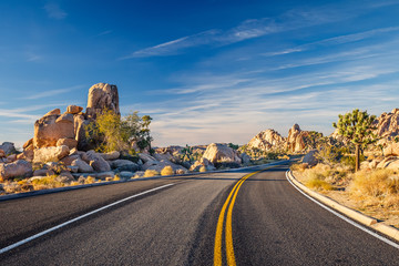 Poster Woestijnlandschap Joshua Tree National Park Californië  © sborisov