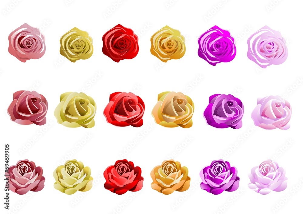 Rosen Rosen