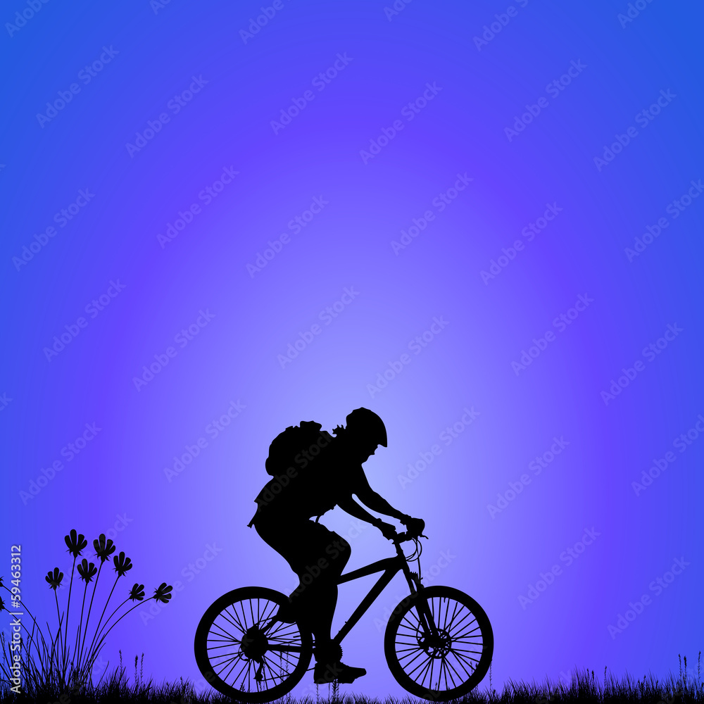 Fototapeta premium bike on the meadow