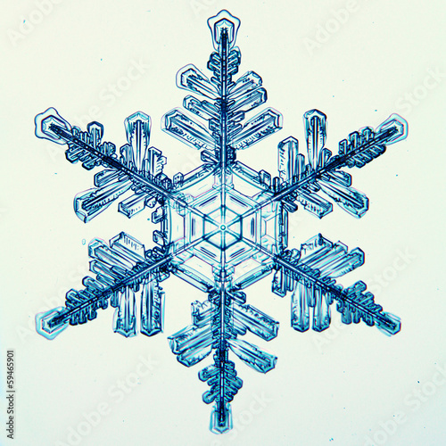 natural crystal snowflake macro