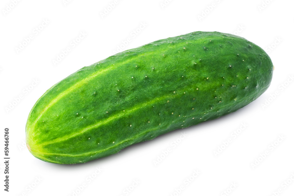 Fresh cucumber Fresh cucumber