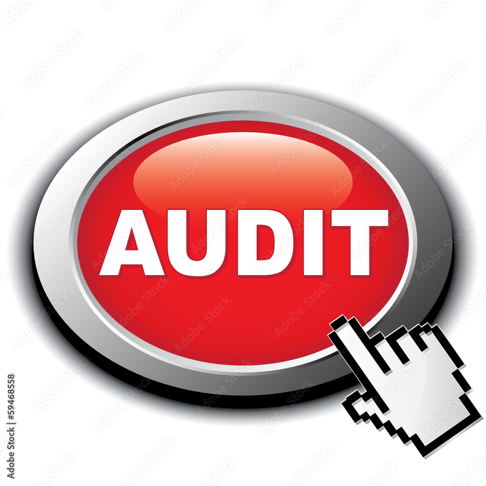 AUDIT ICON AUDIT ICON