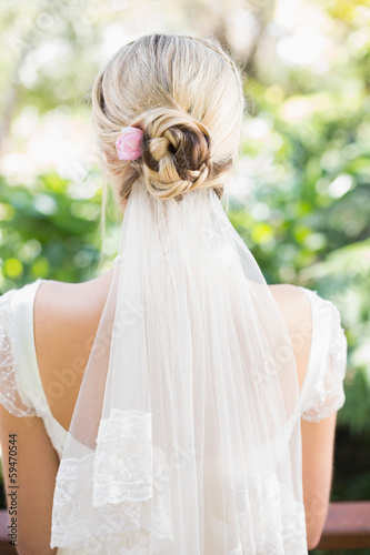 Rear view of bride in a veil