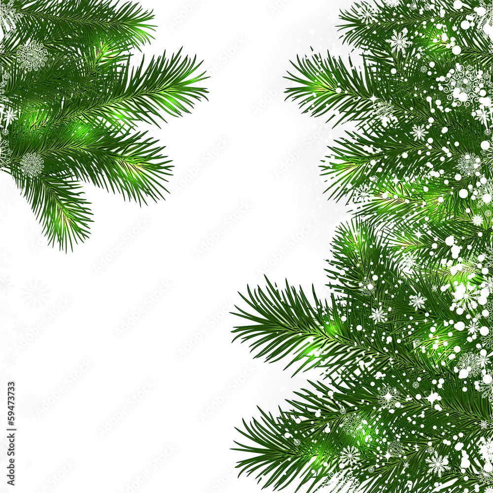 Christmas background with green branches of Christmas tree.