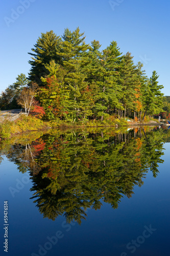 Fall foliage reflected on lake in Maine photo