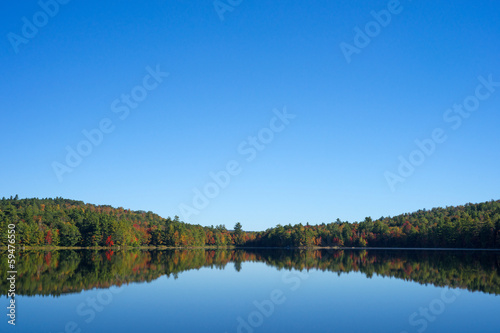 Forest reflection on the calm water of a lake