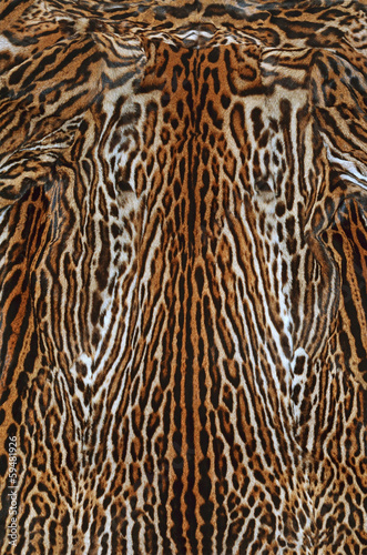 sfondo di pelliccia di leopardo