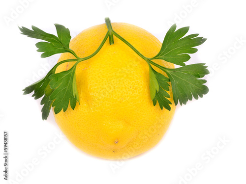 Lemon with parsley isolated on white background photo