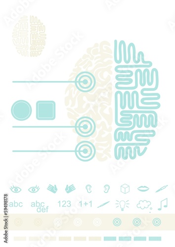 mózg widok z góry schemat elementy infograficzne