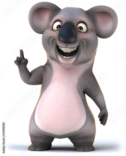 Photography Koala
