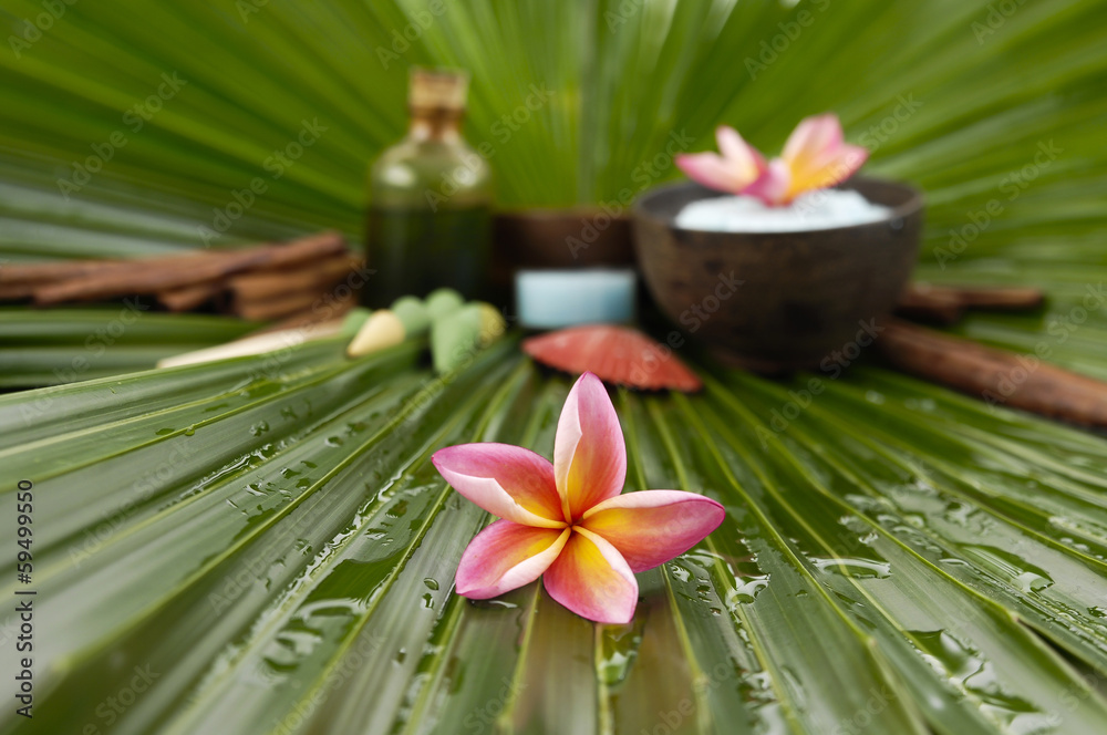 frangipani. Sat in bowl, candle, massage oil, wet palm frangipani. Sat in bowl, candle, massage oil, wet palm