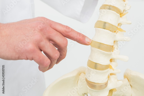 Close-up of a hand with skeleton model photo