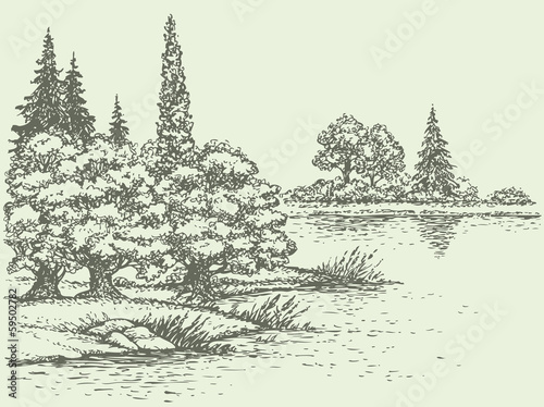 Vector summer landscape. Forest trees on the river bank