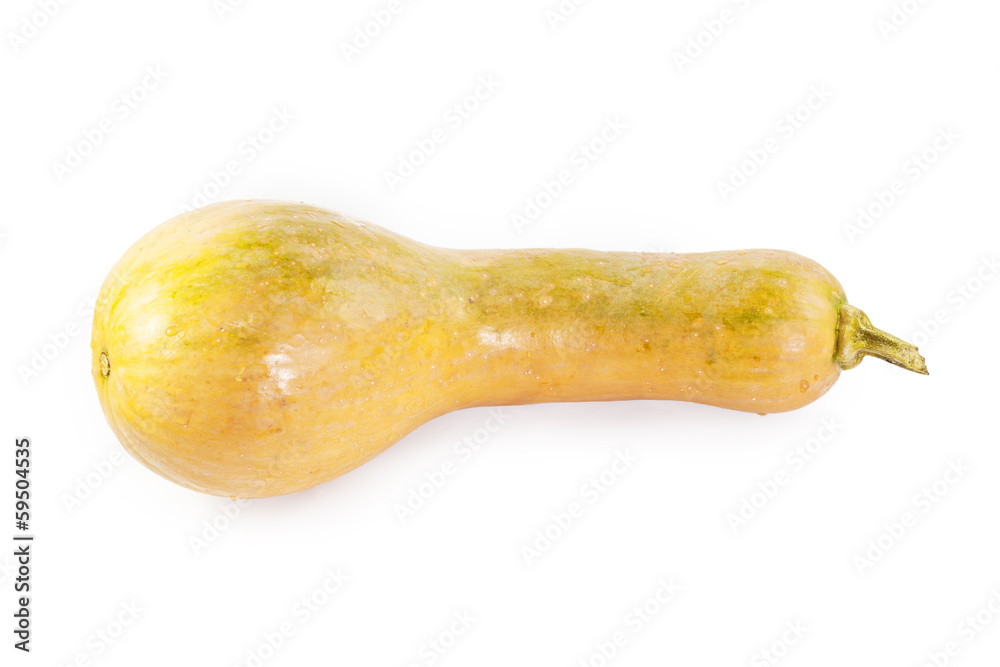 Butternut Pumpkin Butternut Pumpkin