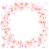 桜　円形