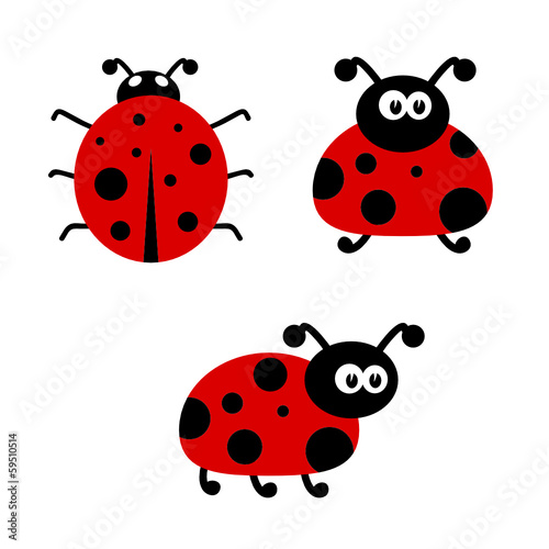 ladybug cartoon vector illustartion
