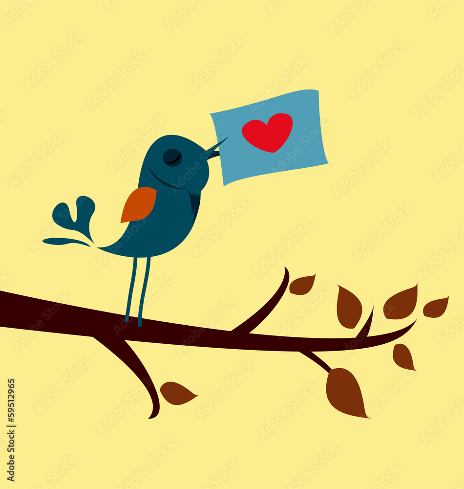 bird love bird love