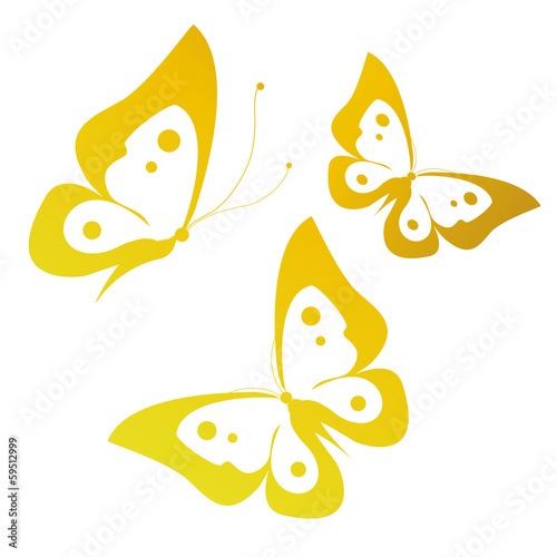 butterflies design