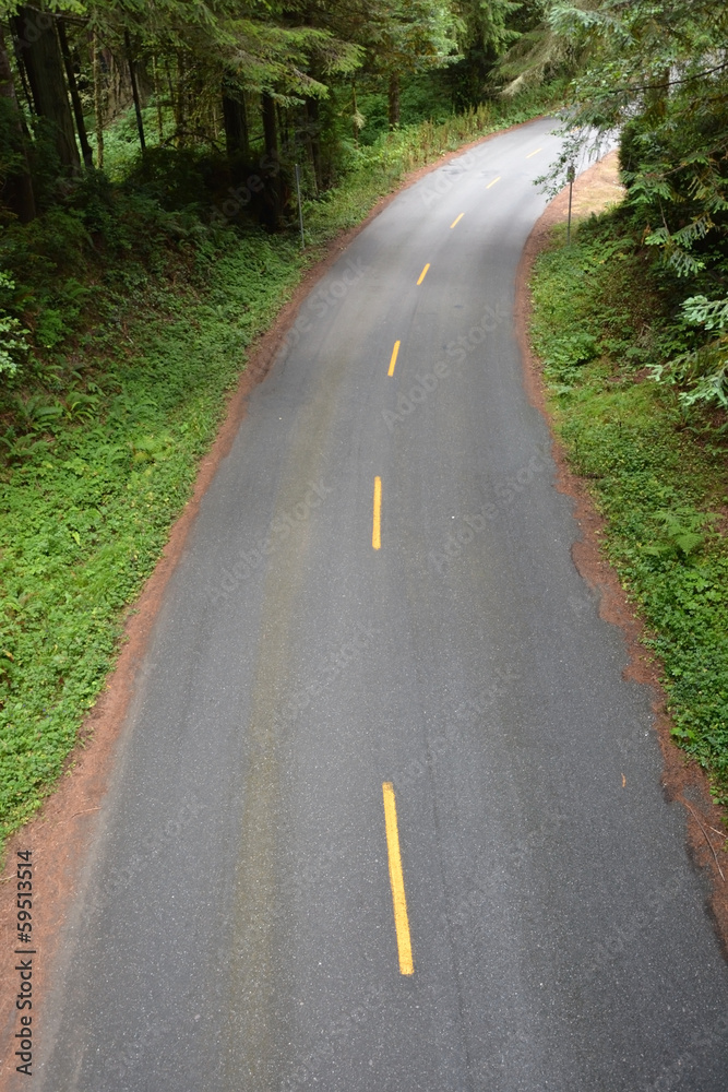 Fototapeta premium Road turn