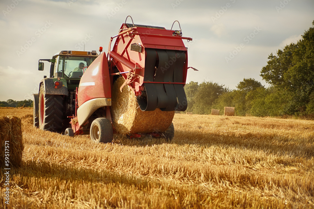 Obraz premium roll out