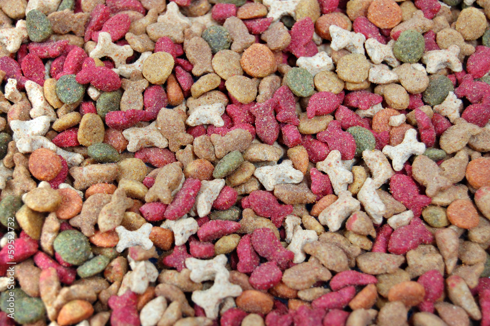 Dry feed for pets . Horizontal photo background. Dry feed for pets . Horizontal photo background.