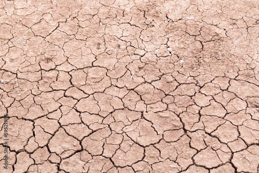 Dry cracked earth background, clay desert texture Dry cracked earth background, clay desert texture