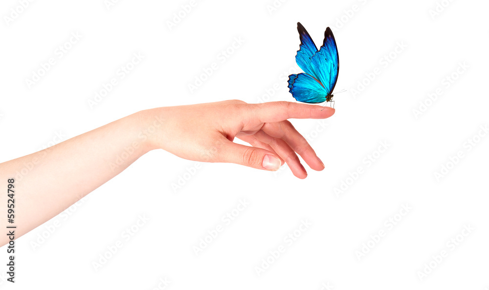 Fototapeta premium butterfly on woman's hand. In motion