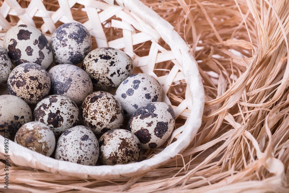 Obraz premium Fresh quail eggs in a basket