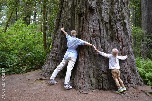 Try to embrace sequoia