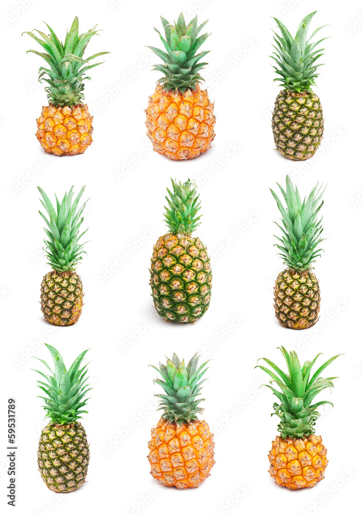 Pineapple Pineapple