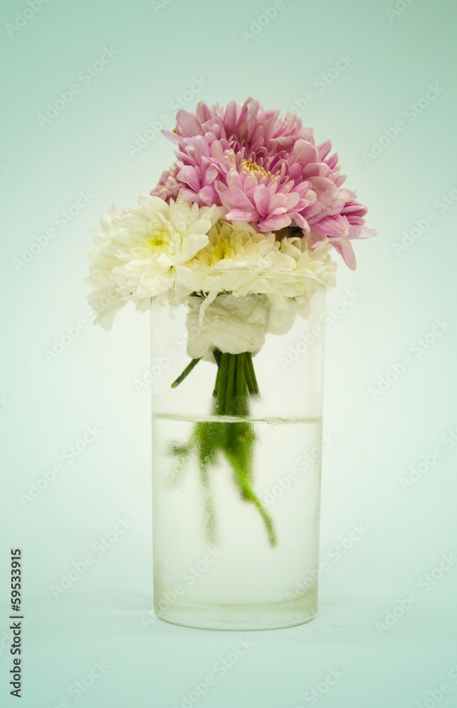 Flowers in a Vase Flowers in a Vase