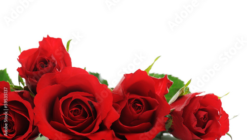 Fototapeta Naklejka Na Ścianę i Meble -  red roses
