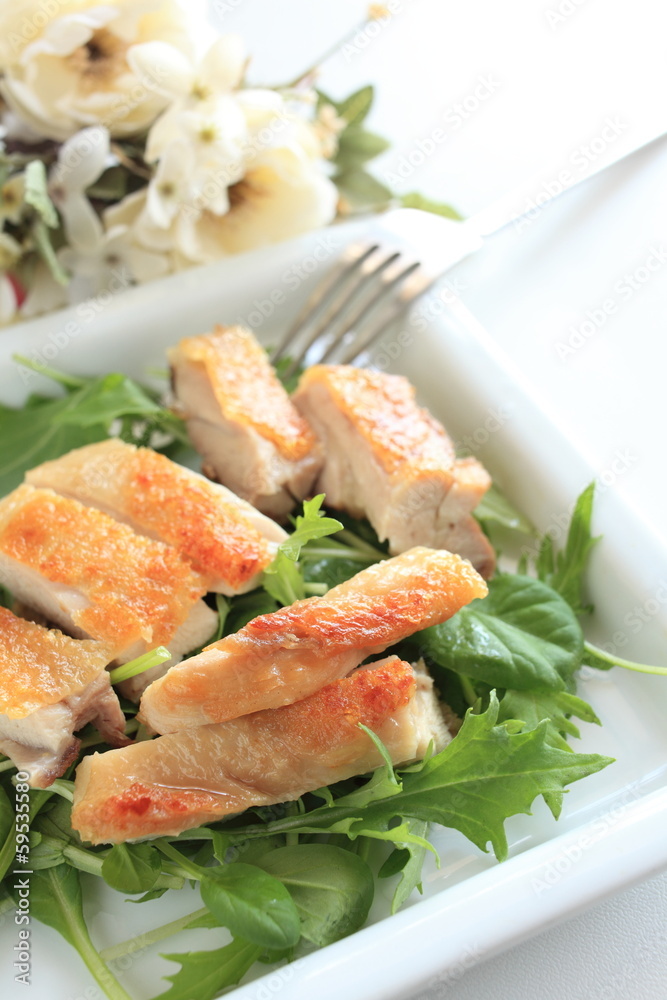 grilled chicken on baby leaf salad